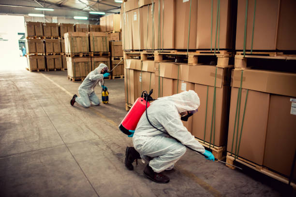 Trusted Northgate, OH Pest Control Experts