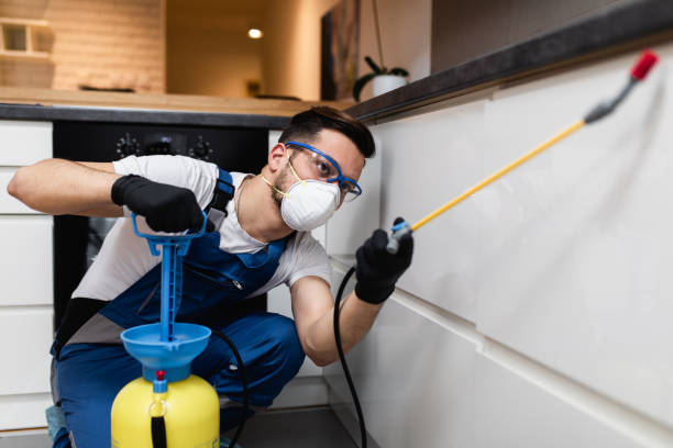 Best Emergency Pest Control  in Northgate, OH